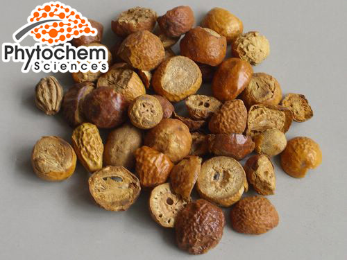 Organic neem seeds Powder 15% Toosendanin