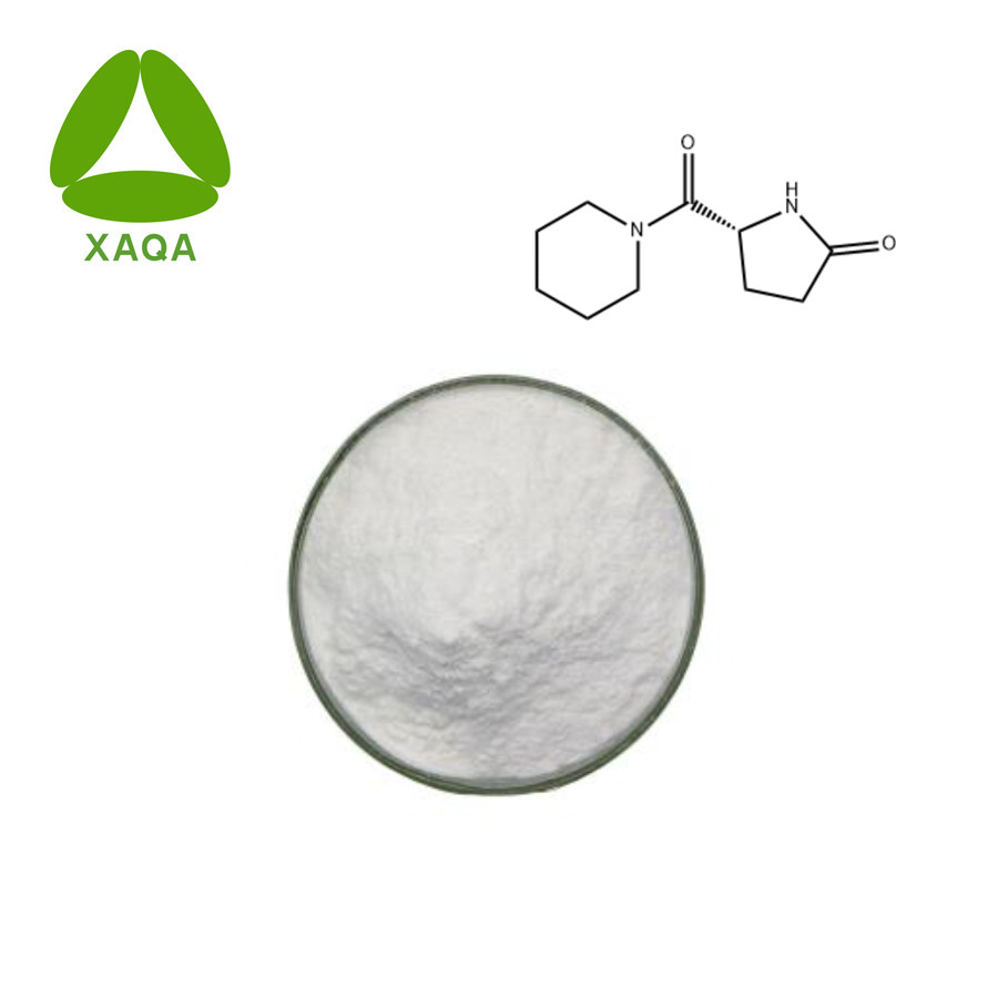 Fasoracetam Powder CAS No 110958-19-5