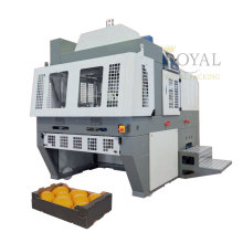 Automatic Open Top Tray Forming Machine for Apple Vegetable Trays & Box Erector