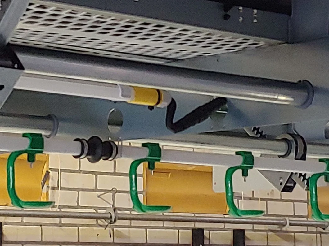 Anti-Ammonia & Acid Poultry Lighting Design for Layer