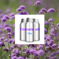 Vervain oil verbena officinalis