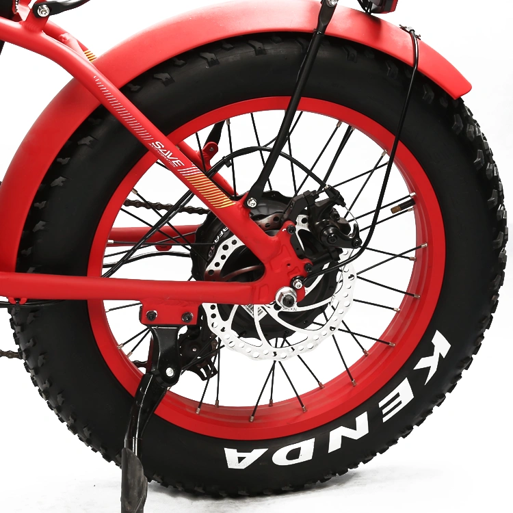 High Quality 20 Inch Electric Folding Fat Tire Bike with 36V 250W Brushless Motor