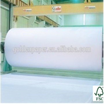 Coated Art Board C2S Art Board 250g 300g