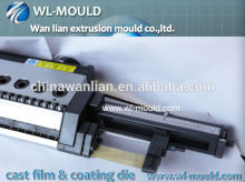 casting film die in casting film machine