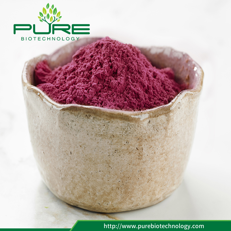 المضادة للأكسدة الفاكهة المجففة التوت البري استخراج مسحوق 7 Anti-oxidant Fruit Dried Cranberry Extract Powder7