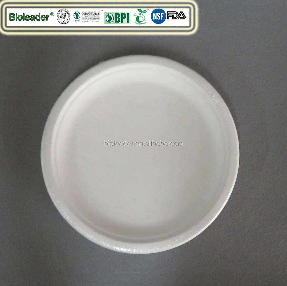 100% Biodegradable Disposable Sugarcane Pulp Party BBQ Plate