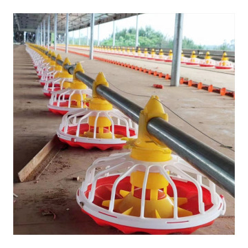 Automatic Chicken Feeders and Drinkers - Plastic Chicken Water Feeders for Poultry