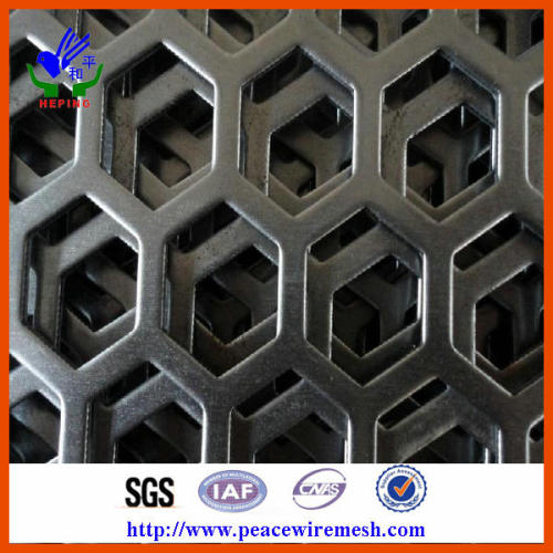 Hot Sale Perforated Metal Mesh (HP-C5)