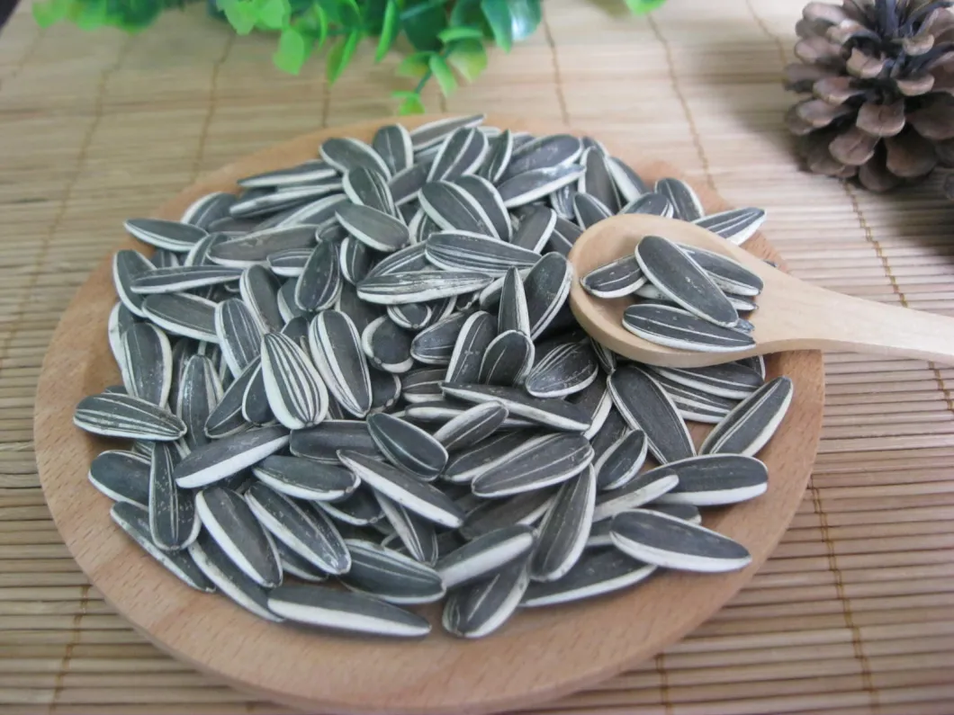 New Crop Sunflower Seeds From Shandong Guanghua Agricultural