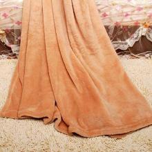 Luxurious Coral Fleece Wax Coating