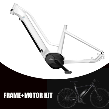 Custom Aluminum Trekking Bike Frame for Rear Hub Motor eBike Frame