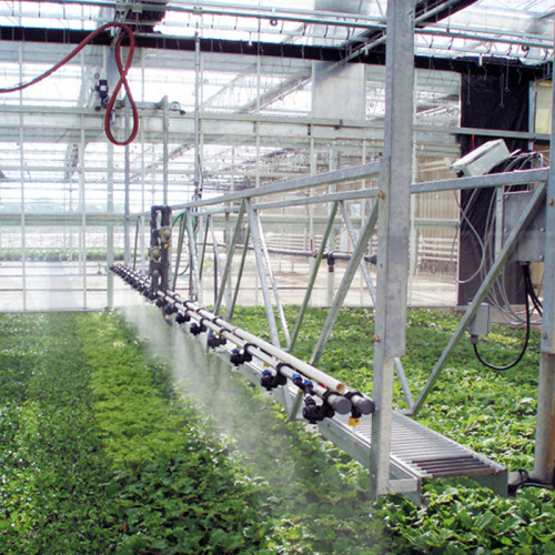 Irrigação de aspersão móvel com efeito de estufa para horticultura