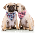 2 paket yıkanabilir köpek bandana