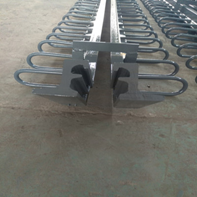 Single Expansion Joint