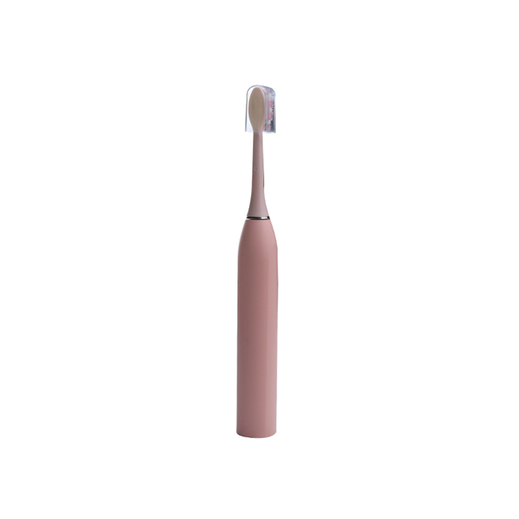 Rifornimento della fabbrica V6 Spazzolino da denti elettrico portatile Sbiancamento dei denti Design speciale Spazzolino da denti elettrico per sbiancamento USB per uso domestico