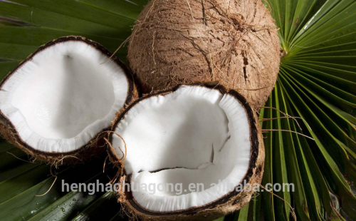 Coconut Activated Carbon With Water Purification goods