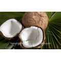 Charbon Actif De Noix De Coco Avec Produits De Purification D&#39;eau