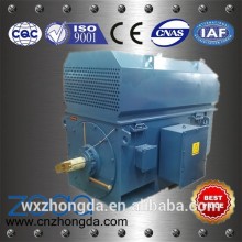 high voltage squirrel cage three-phase electric Motor