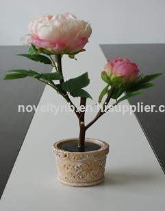 Beautiful Solar Peony Light?