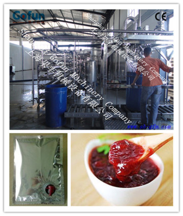 Tomato Paste Aseptic Filler bag in drum