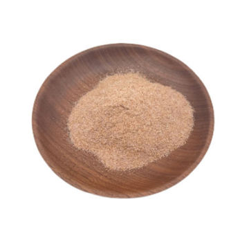 Waste Water Treatment Bacterial Reduces Organic Pollutants