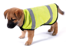 Dog vest warning vest reflective safety vest