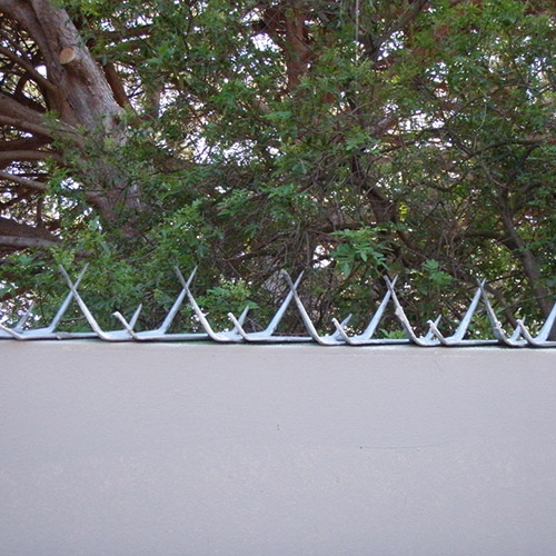 Wall Spikes Used for Security Fence Spikes Solution