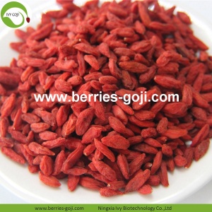 Factory Wholesale Nutrition Anti Cancer Wolfberry