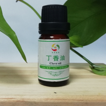 clove essential oil eugenol clove bud oil