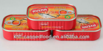 canned sardine from morocco in oil