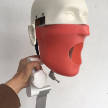 Dental Simulation Phantom Head Torso for Dentist Chairs