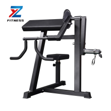 ZYFIT Strength Preacher Curl Bicep and Triceps Exercise Machine