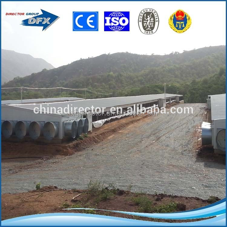 Qingdao Dao Manufacture Pre engineered Steel Structure Closed Poultry Farm System House Building