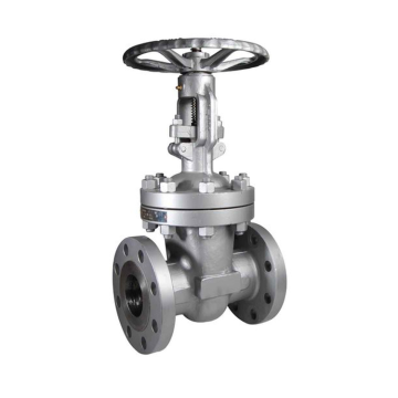 Natural Gas Pipelines Socket Welded Titanium Gate Valve