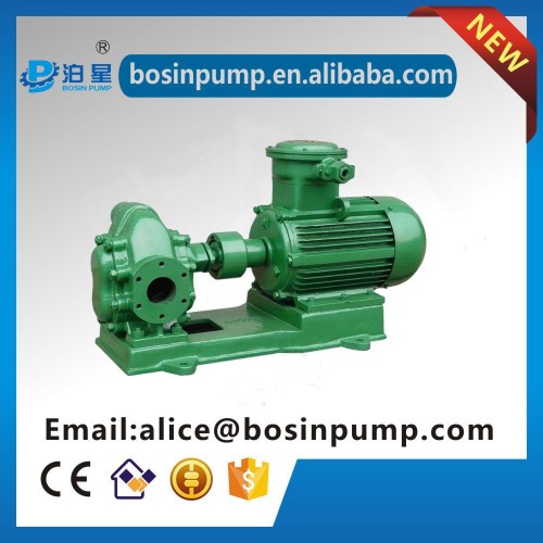 Kcb Gear Fuel Oil/rude Oil/lube Oil/ Petrol Oil Pump,Micro Gear Oil Pump,Oil Pump