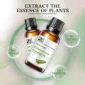 High quality Palmarosa Essential oil