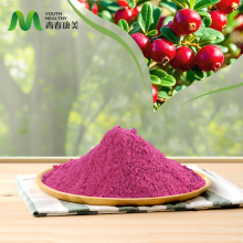 High Quality Cranberry Fruit Juice Powder
