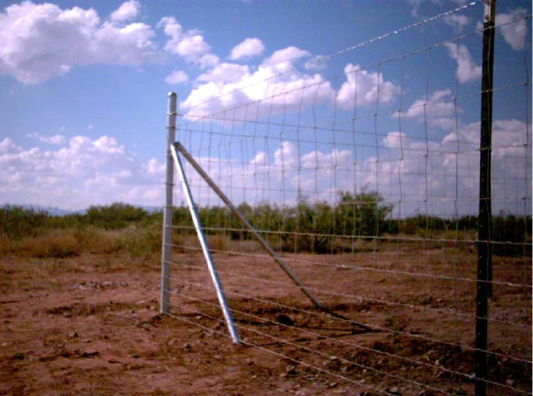 Galvanized Farm Guard Metal Wire Mesh Filed Fence