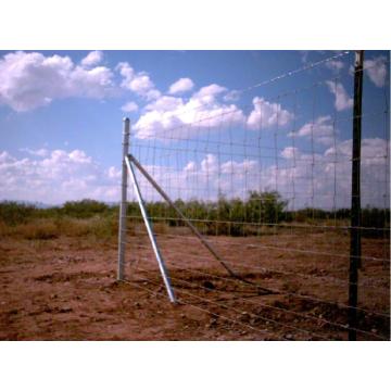 Galvanisierter Bauernhof-Schutz Metal Wire Mesh Filed Fence