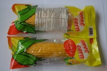 Yellow Fresh Sweet Corn