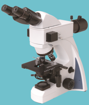 Fluorescent Microscope