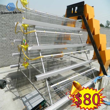 High Quality  Layer Chicken  Cage