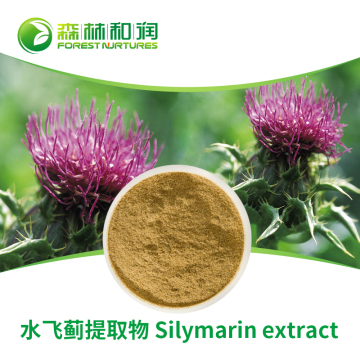 Silymarin extract Natural Herbal Extract