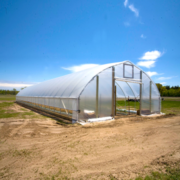 Multi-span Plastic Film Greenhouse Hydroponic Greenhouse