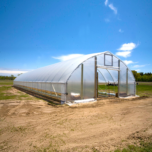 Agricultural Single Span Tunnel plastic for greenhouse