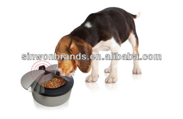 automatic pet feeders dog