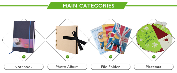 Plastic Flexible Fancy A4 Size Presentation Document File Folder