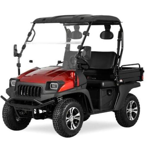 Jeep Style 50ev Electric Golf Cart mit EEC