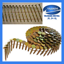 Coil Nails With Flat Head Common Coil Nails Factory