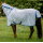 Waterproof and ripstop turnout horse rugs